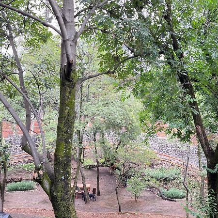 Mi Refugio San Angel Villa Mexikóváros Kültér fotó