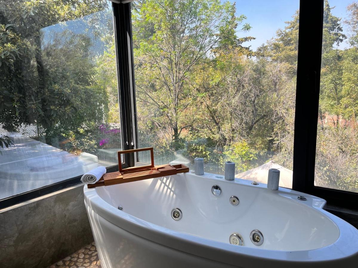 Mi Refugio San Angel Villa Mexikóváros Kültér fotó