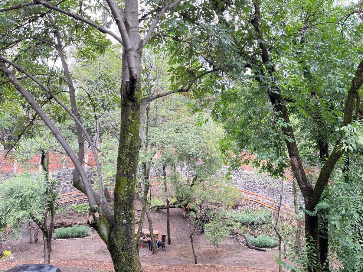 Mi Refugio San Angel Villa Mexikóváros Kültér fotó