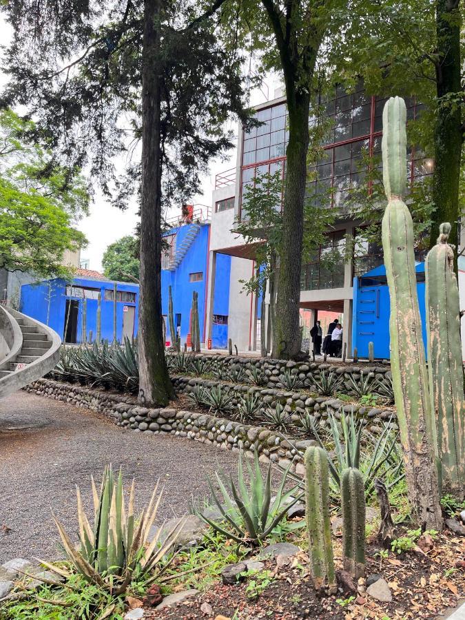 Mi Refugio San Angel Villa Mexikóváros Kültér fotó